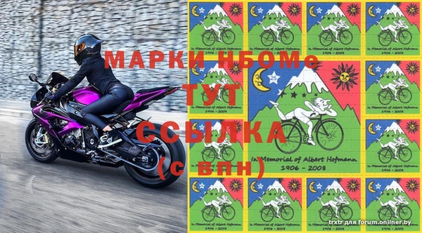 ГАЛЛЮЦИНОГЕННЫЕ ГРИБЫ Туринск