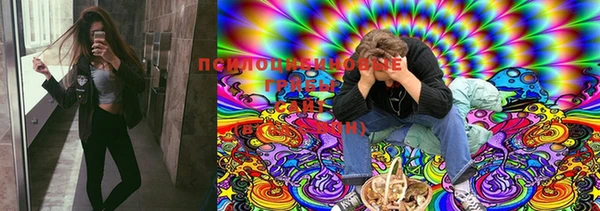 гидропоника Тында