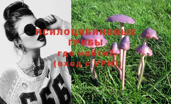 гидропоника Тында