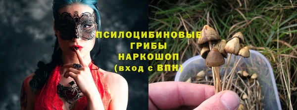 гидропоника Тында